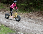 Zäunen auf der Biberwier-Alm