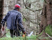 Zäunen auf der Biberwier-Alm