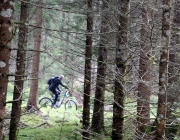 Zäunen auf der Biberwier-Alm