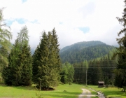 Zäunen auf der Biberwier-Alm