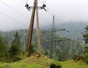 Zäunen auf der Biberwier-Alm