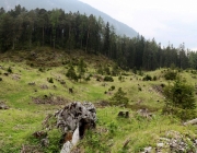 Zäunen auf der Biberwier-Alm