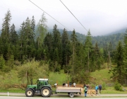 Zäunen auf der Biberwier-Alm