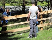 „Zäuner“ der Marienbergalpe in Aktion – Winterschäden der Biberwier-Alm werden ausgebessert