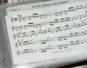 Zeiner Kirchtag 2015 – Messe in der Marienkapelle mit Festl