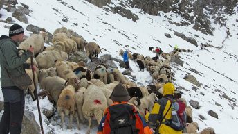 Schnee machte den Weg über die Grünsteinscharte beschwerlich, Foto: Hermann Neuner