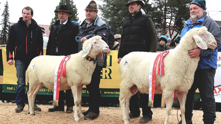 Die Gesamtsieger, Andreas Rott und Herbert Schuchter mit Gratulanten, Foto: Knut Kuckel