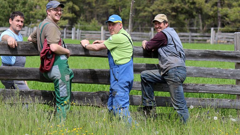 Die Obermieminger Bauern reparieren die Zäune am Kälberriegl, dem Vorberg der Feldernalm. Foto: Knut Kuckel