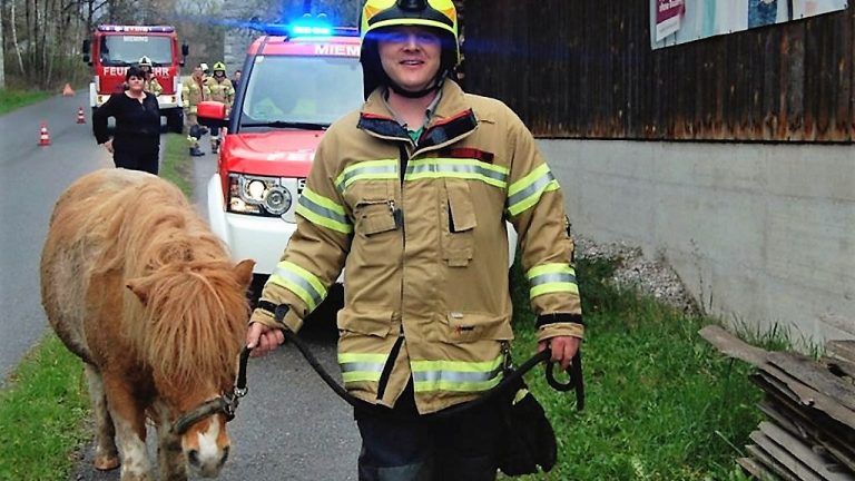 Tierrettung in Obermieming – Absturz eines Ponys, Foto: Freiwillige Feuerwehr Mieming