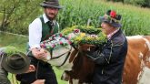 "Das ist eine Ehre für die Hirten, die das heuer zum ersten Mal miterleben", sagte Almobmann Klaus Scharmer. Foto: Knut Kuckel