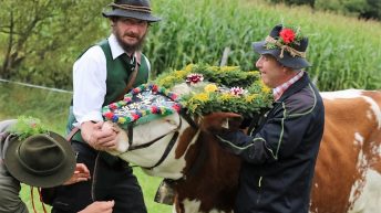 "Das ist eine Ehre für die Hirten, die das heuer zum ersten Mal miterleben", sagte Almobmann Klaus Scharmer. Foto: Knut Kuckel