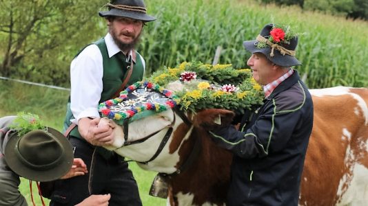 "Das ist eine Ehre für die Hirten, die das heuer zum ersten Mal miterleben", sagte Almobmann Klaus Scharmer. Foto: Knut Kuckel