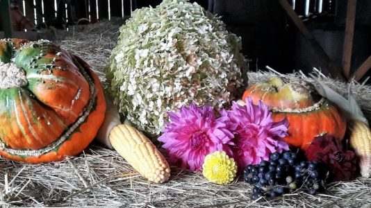 Obermieminger Bauernherbst am Steirerhof, Foto: Steirerhof Mieming