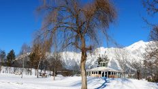 Die Eisdecke am Badesee ist stabil für Kufensportler, Foto: Knut Kuckel