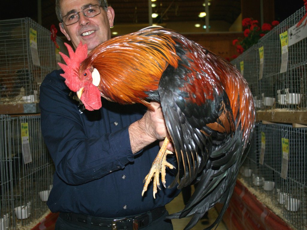 Kleintierschau im Gemeindesaal, Foto: Mieming.online
