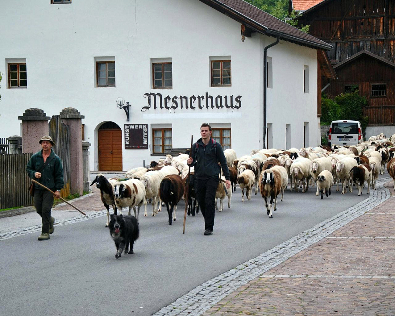 Schafschoad Seeben Alm - Untermieming, Foto: Mieming.online