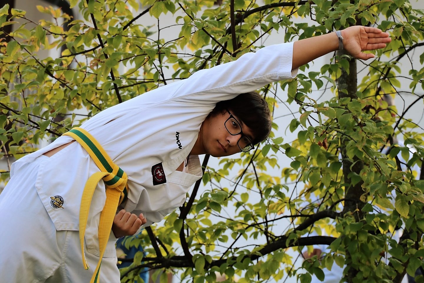 Taekwondoturnier in Mieming, Foto: Knut Kuckel/Mieming.online