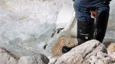 Wiederansiedlungsprojekt: Am Wochenende wurden im Stöttlbach weitere Forellen ausgesetzt. Foto: Knut Kuckel