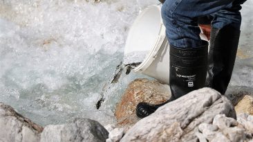 Wiederansiedlungsprojekt: Am Wochenende wurden im Stöttlbach weitere Forellen ausgesetzt. Foto: Knut Kuckel