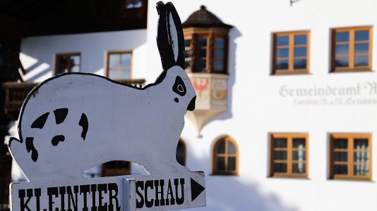 Ganz groß - die Kleintierschau in Mieming. Foto: Knut Kuckel