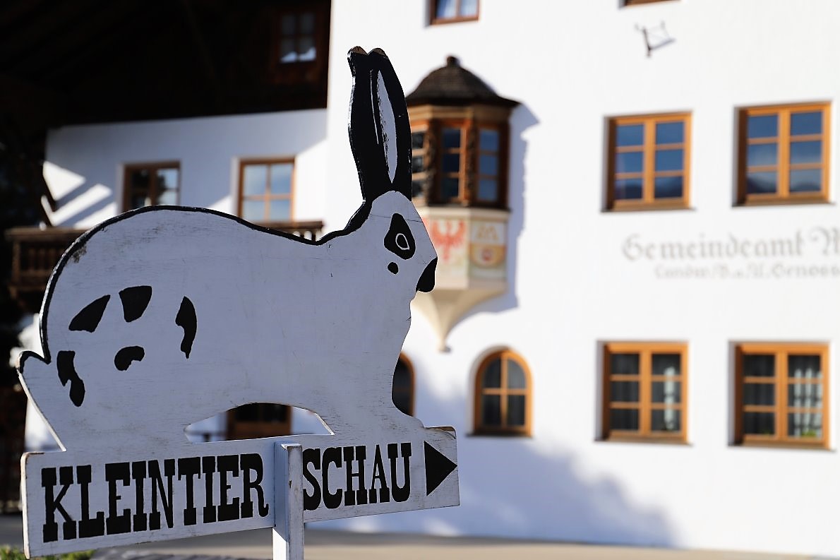 Ganz groß - die Kleintierschau in Mieming. Foto: Knut Kuckel