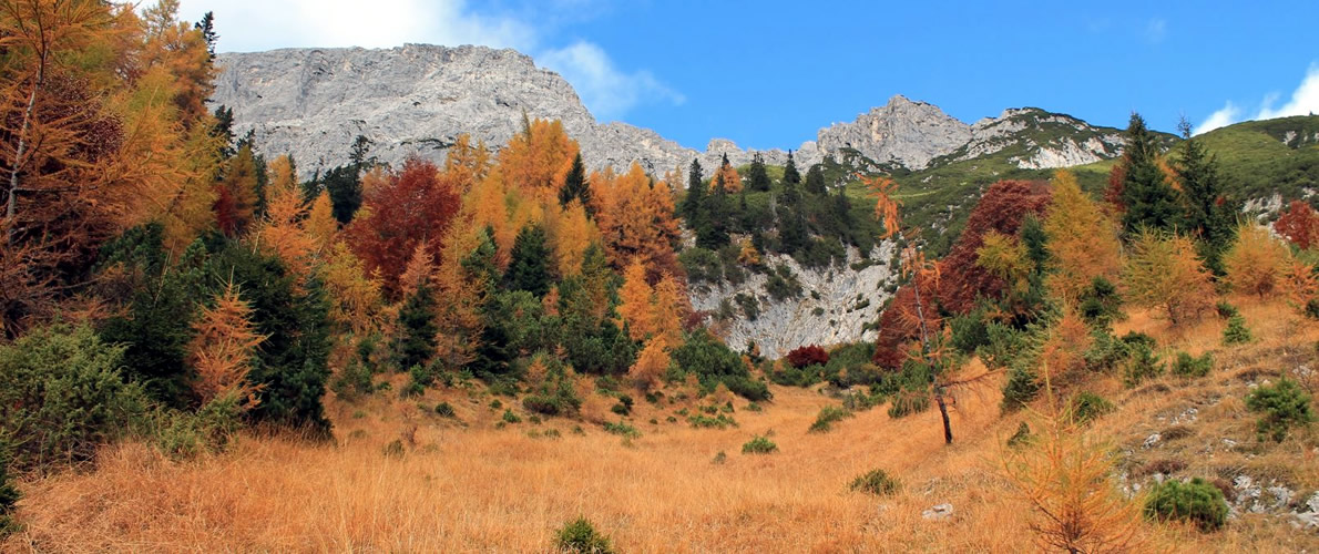 Zeitfenster 2017 - Generationsprojekt Wald in Wildermieming, Foto: Gemeinde Wildermieming