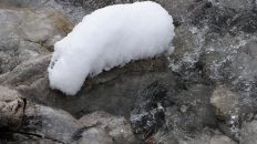 Bilderbuchwinter am Stöttlbach in Mieming. Foto: Knut Kuckel