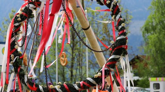 Vom Baumfällen bis zum Aufstellen des Maibaumes vergingen weniger als 70 Minuten. Foto: Knut Kuckel