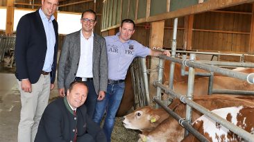 (von links) Michael Wurzrainer (Projektverantwortlicher der Rinderzucht Tirol), Josef Geisler (LHStv.), Thomas Danzl (GF Landeskulturfonds) und Bauer Hannes Post. Foto: Knut Kuckel