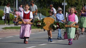 Almabtrieb 2018 Hochfeldern Obermieming Foto: Daniel Fischer